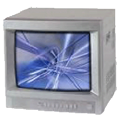 Zestron Montior 14"